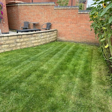 Well-maintained rectangular lawn with striped grass, bordered by a brick wall and sunflowers.