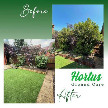 Lush garden transformation showing greenery before and after landscaping by Hortus Ground Care.