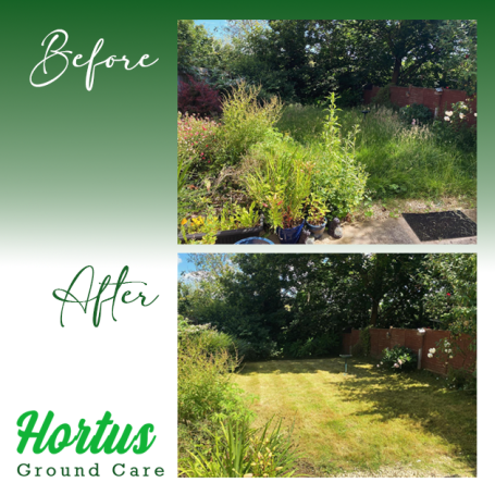 Before-and-after view of a garden: overgrown plants transformed into a neat lawn.