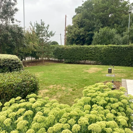 Green garden featuring hedges and a patch of flowering plants under a cloudy sky.