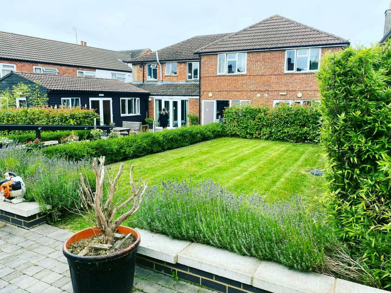 Neatly manicured garden with a lawn, hedges, and a potted plant in the foreground.