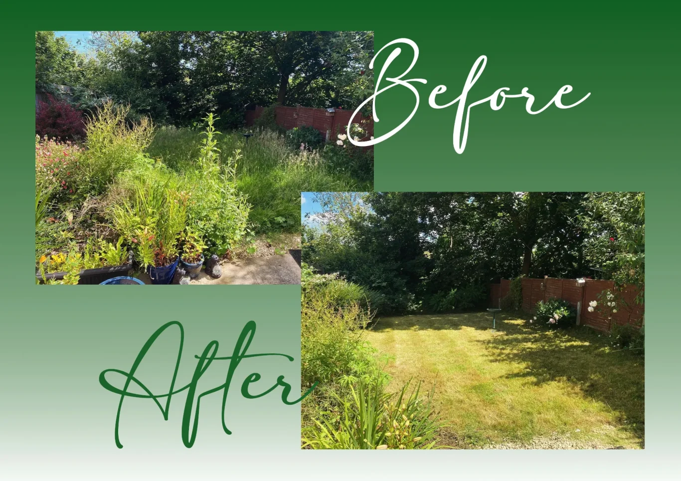 Garden Clearance Northants Before and after views of a garden, showing overgrown plants and a cleared, landscaped area.