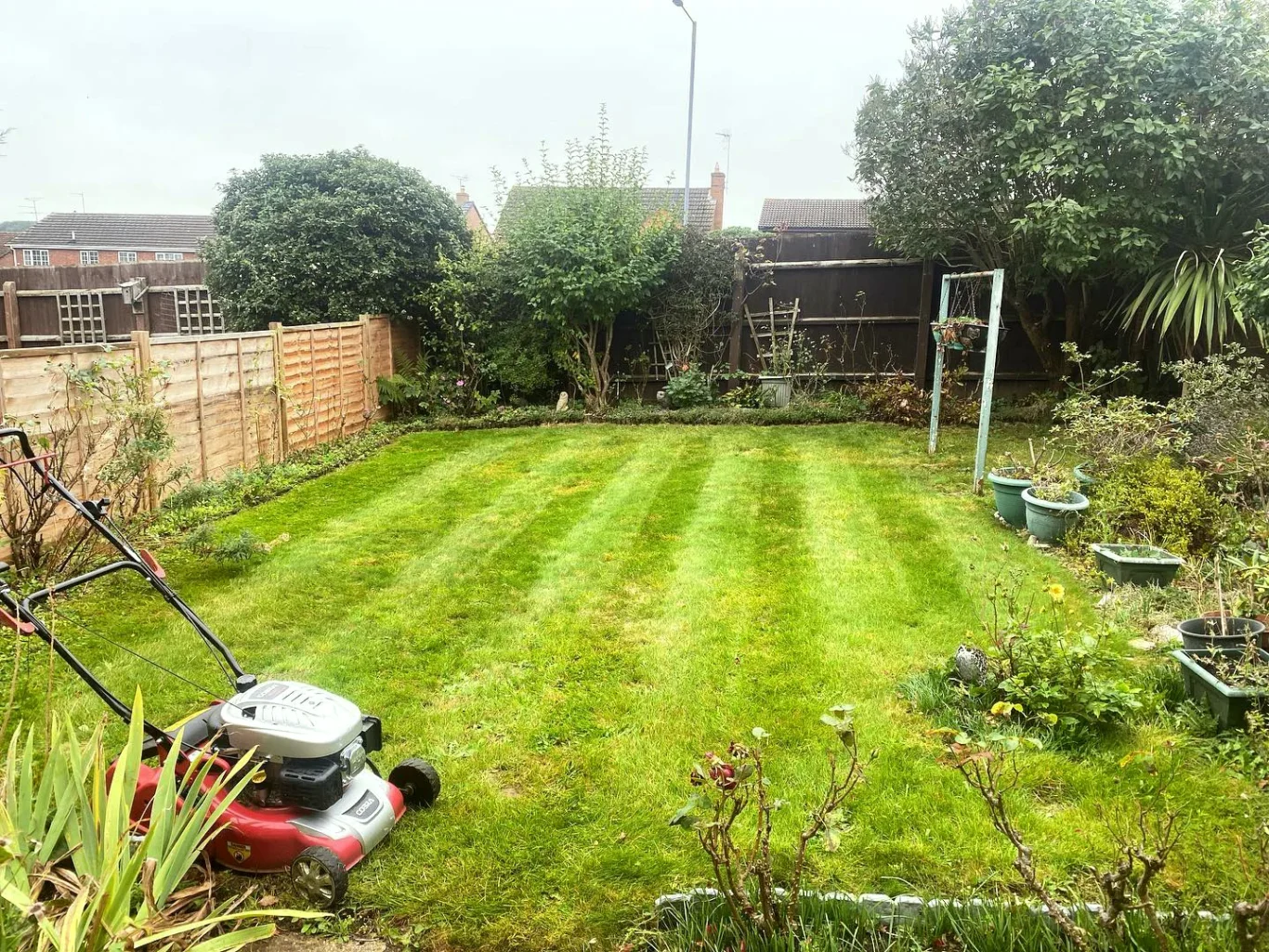 Well-maintained garden with striped lawn and a lawn mower in the foreground.