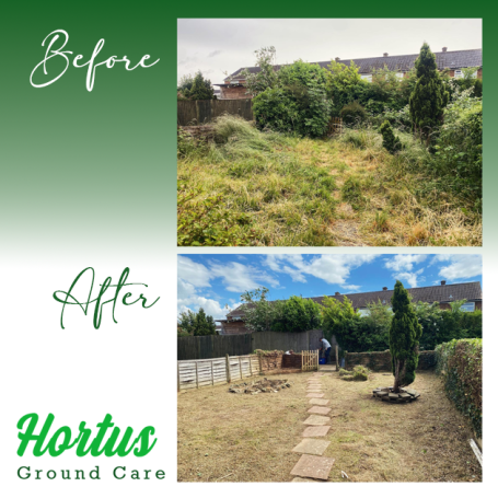 Overgrown garden transformed into a tidy, landscaped space with paths and greenery.