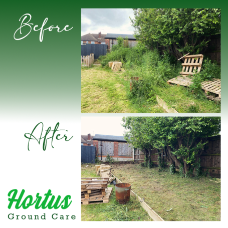 Before and after comparison of a garden transformation, showcasing cleaned and maintained greenery.