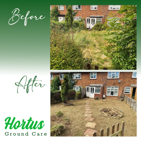 Before-and-after comparison of a garden transformation, showing overgrown to neatly maintained.