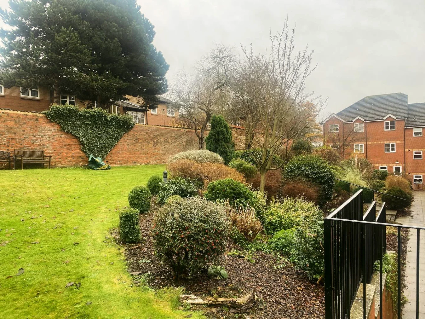 A garden with shrubs and grass, bordered by a brick wall and residential buildings.